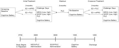 Effect of estradiol with or without micronized progesterone on cholinergic-related cognitive performance in postmenopausal women